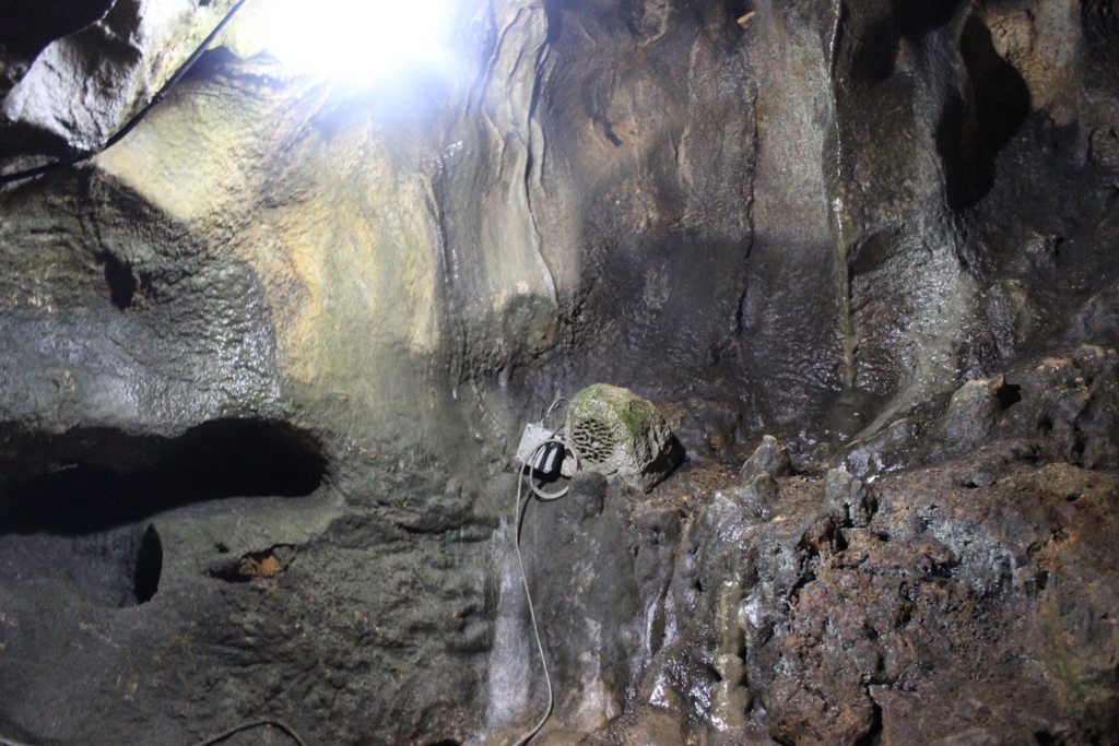 岩を模したスピーカー