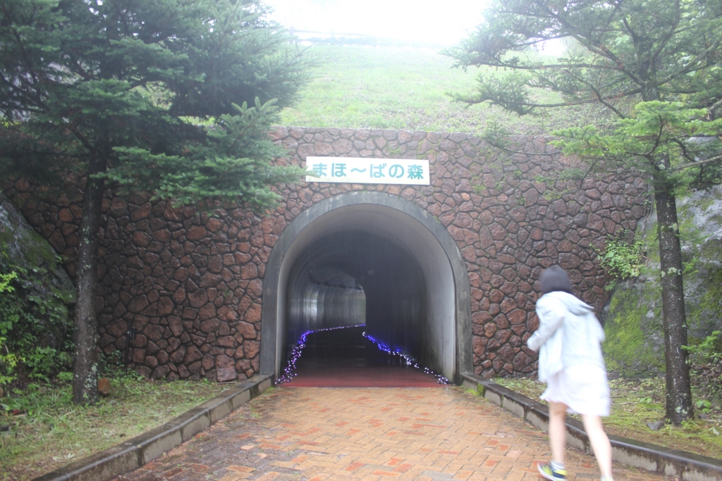 f:id:digdig_o:20150722122716j:plain 森への入口